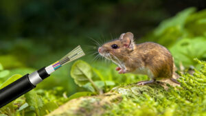 how to protect fiber optic cable from rodents