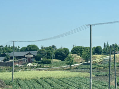 telecom pole line